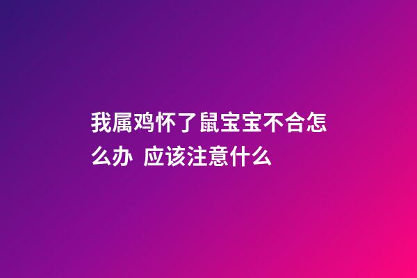 我属鸡怀了鼠宝宝不合怎么办  应该注意什么